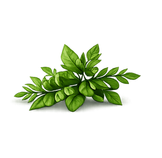 Plant Extracts
